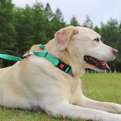 Joytale Martingale Collar for Dogs, Reflective Heavy Duty for Safety, Quick Release Buckle, Adjustable Nylon Collars for Small Dogs Walking Training, Teal,S