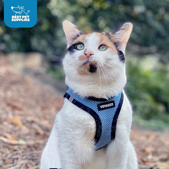 Best Pet Supplies Voyager Step-in Air Harness - All Weather Mesh, Reflective, No Pull Harness for Dogs, Cats - Secure with Hook & Loop Fastener, Buckle, Double D-Rings - Baby Blue/Black Trim, M