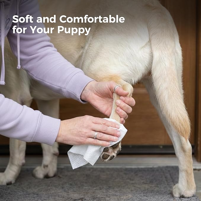 Extra Large 8“ x 13" Dog Wipes, Hypoallergenic, Lavender Scented, Plant-Based Grooming Wipes for Deodorizing & Hydrating Paws, Body, Butt, Ears & Coat - 360 Count