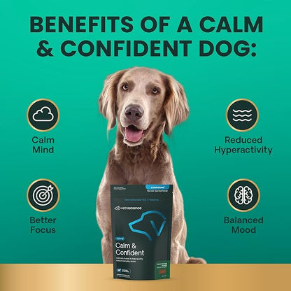VetriScience Clinically Tested Composure Calm & Confident Chews - Supplement for Dogs with Anxiety, Stress & Fear with L-Theanine for Thunderstorms, Fireworks or Travel, Peanut Butter, 120 Count