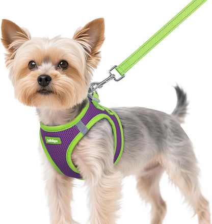 rabbitgoo Dog Harness Small Sized and Leash Set, Step-in Breathable Pet Harness, Soft Walking Reflective Puppy Vest for Small Dogs, Purple & Green, XS