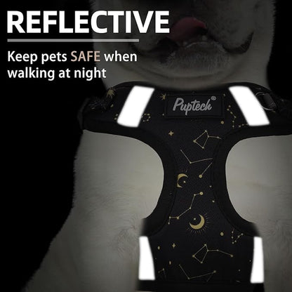 PUPTECK Dog Harness and Leash Set Medium Sized, Step in No Pull Adjustable Puppy Cat Harness Reflective Pet Vest