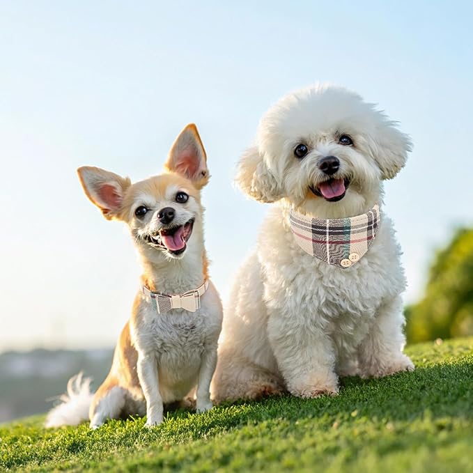 EXPAWLORER Dog Collar and Bandana Set - Classic Plaid Dog Bow Tie and Bandana Collar with PU Leather, Adjustable Collars for Small Medium Large Dogs Cats, Holiday Ideal Gift, Beige S