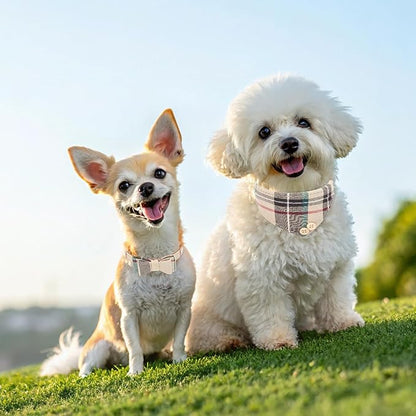 EXPAWLORER Dog Collar and Bandana Set - Classic Plaid Dog Bow Tie and Bandana Collar with PU Leather, Adjustable Collars for Small Medium Large Dogs Cats, Holiday Ideal Gift, Beige S