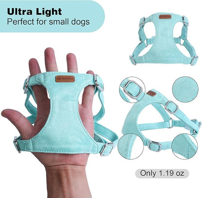 Dog Harness and Leash Set, XXS No Pull Adjustable Puppy Harness with Multifunction Pink Dog Leash and Dog Collar, Soft No Choke Escape Proof Pet Harness Vest for Small Dogs and Cats (Mint Green, XXS)
