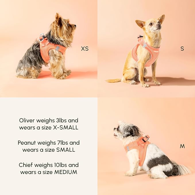 Downtown Pet Supply Step in Dog Harness for Large Dogs - Adjustable, Escape Proof Dog Harness with Reflective Trim - All-Weather, Fast-Drying Padded Mesh Fabric - Tangerine, X-Small