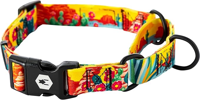 Wolfgang Heavy Duty Martingale Dog Collar with Quick Release Nylon Buckle for Walking & Training, PackLeader Print, Extra Large