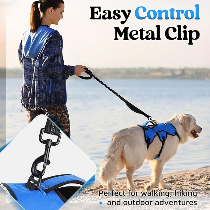 rabbitgoo Escape Proof Dog Harness, Soft Padded Full Body Pet Harness, Reflective Adjustable No Pull Vest with Lift Handle and Leash Clip for Large Dogs Walking Hiking Training, M, Blue