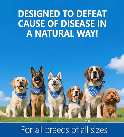 Allergy Relief Drops for Dogs, Allergy and Immune, Immune Support Supplement, Dog Supplement, Natural Pet Supplement for Dog Allergy Relief with Turmeric & Milk Thistle - 2 oz