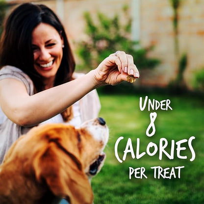Fruitables Baked Dog Treats, Healthy Pumpkin Treat for Dogs, Low Calorie & Delicious, No Wheat, Corn or Soy, Made in The USA, Pumpkin and Banana Flavor, 12oz (Pack of 2)