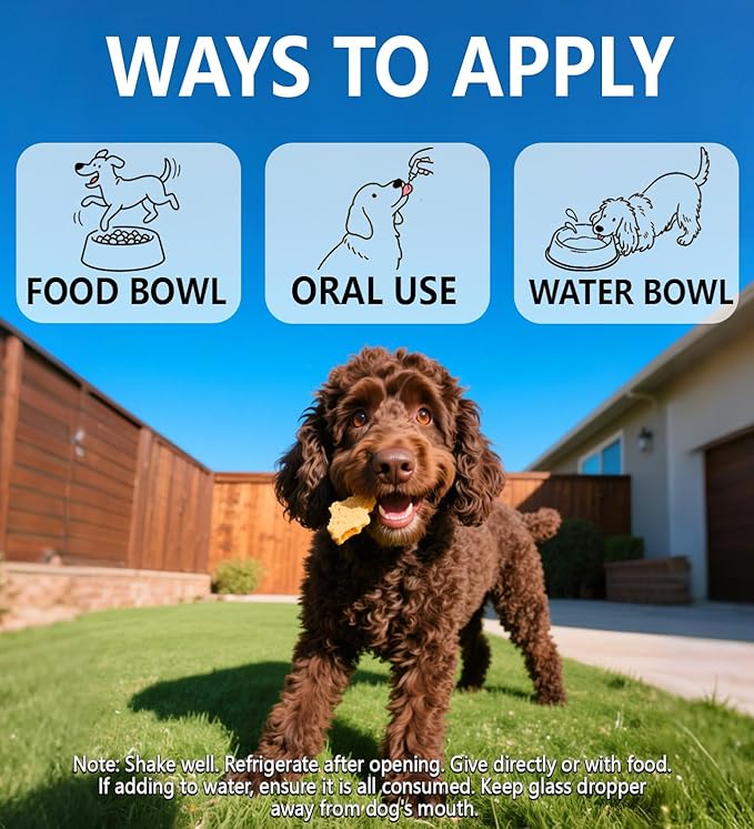 Natural Antibiotics for Dogs, Dog Allergy Supplies Antibiotics, Dog Multivitamin for Pets, Dog Itch Relief,Dog Multivitamin,Natural Dog Antibiotics Supports Dog Allergy and Itch Relief