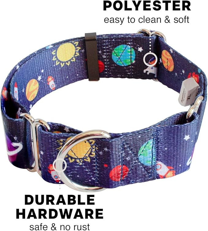 Downtown Pet Supply - Martingale Collar for Dogs - Dog Training Collar - Big, Wide & Thick Dog Collar - Escape-Proof, Weatherproof, Durable and Comfortable - Space - Large Dog Collar