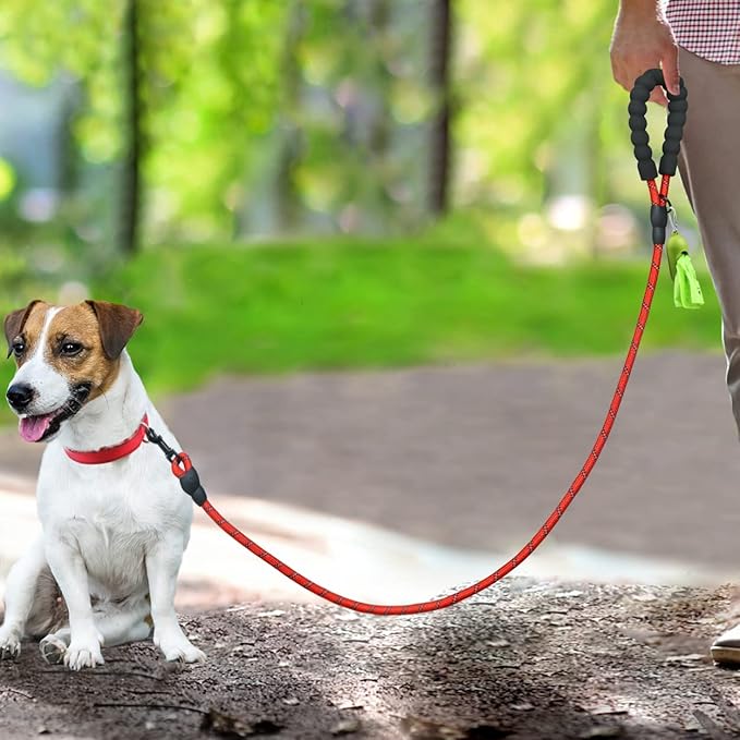 Dynmeow Reflective Dog Collar and Leash Set, 6FT Strong Climbing Rope Leash with Padded Handle, Adjustable Pet Collar with Soft Neoprene Padding for Puppy Small Dogs, Red, Xs