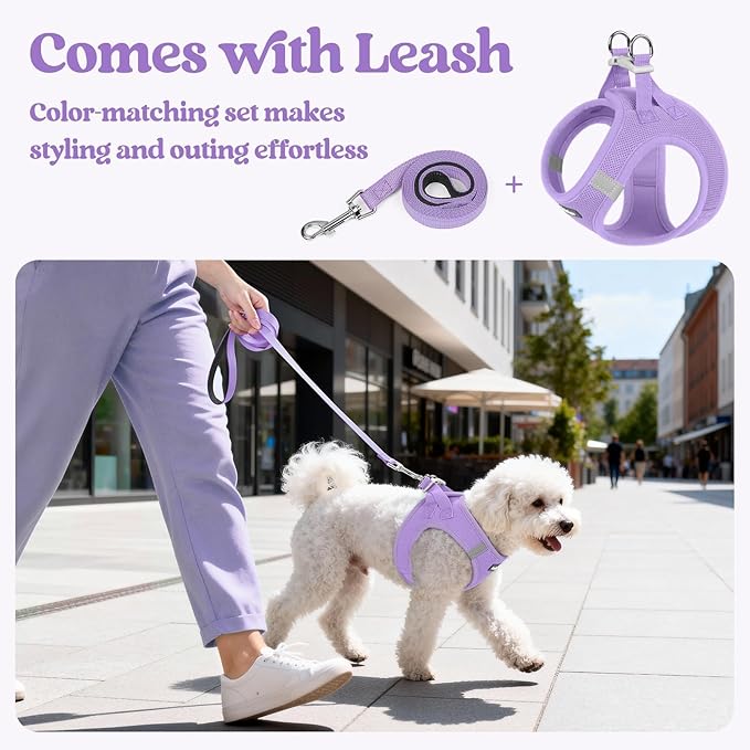 rabbitgoo Dog Harness Small Medium Sized and Leash Set, Step in Soft Light Puppy Vest, Breathable Mesh Pet Harness, Reflective for Safe Easy Walking, Light Purple L