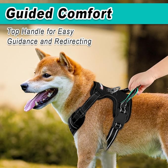 BARKBAY Dog Harness No Pull Mesh for Large Dogs - Adjustable, Reflective, Comfortable, No Choke, Heavy-Duty - Perfect for Outdoor Training, Walking, and Hiking - Strong & Durablee - XL & Black Mesh