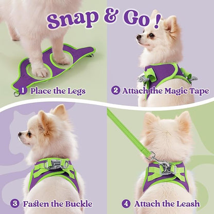 rabbitgoo Dog Harness Small Sized and Leash Set, Step-in Breathable Pet Harness, Soft Walking Reflective Puppy Vest for Small Dogs, Purple & Green, M