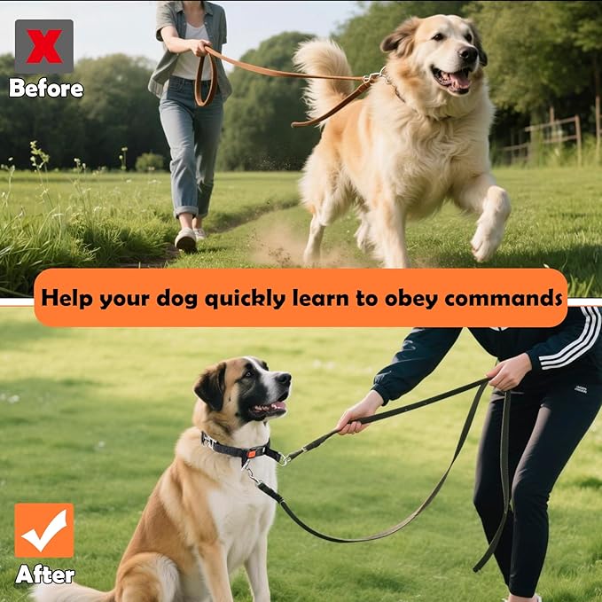 Dog Training Collar, Stainless Steel with Soft Rubber Cap, Adjustable with Quick Release Buckle (L)