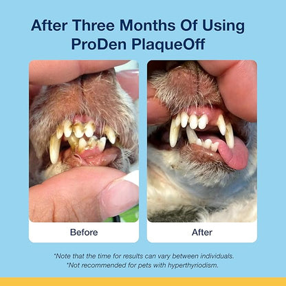ProDen PlaqueOff Scoopables - Hickory Smoked Bacon Flavor Dental Bites for Large Dogs, Natural Kelp for Plaque & Tartar Control, Freshens Breath -Large & Giant Breed Dental Care- 45 Scoops