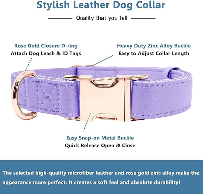Soft Leather Dog Collar and Leash (6.6') Set - Stylish Rose Gold Heavy Duty Metal Buckle, 4 Adjustable Lengths Leash for Small Medium Large Dogs - Comfortable & Easy to Clean (XS, Light Purple)