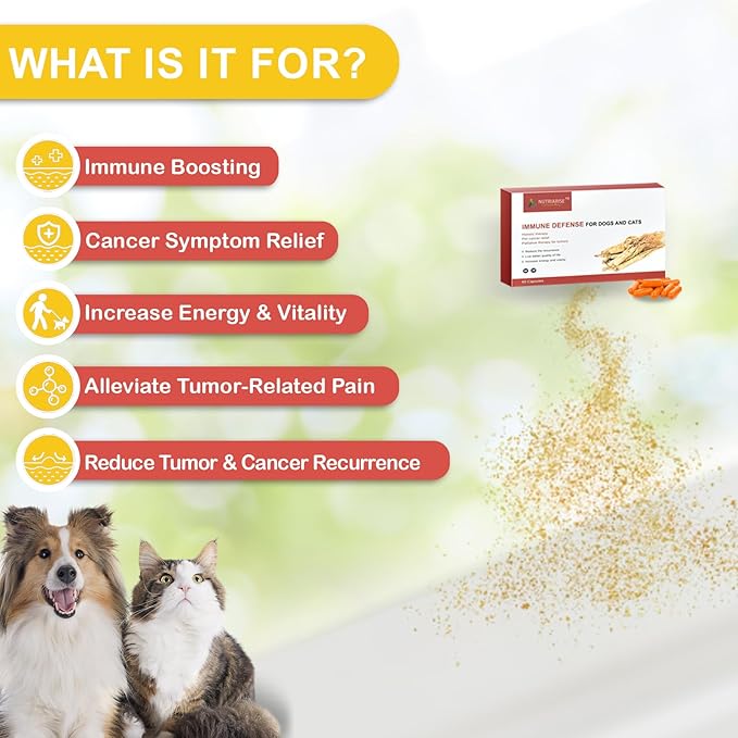 Immune Defense Supplement for Dogs & Cats – Natural Dog Cancer Treatment & Lipoma Supplement – Critical Immune Support for Lumps, Bumps, Tumor Reduction, and Cancer Symptom Relief