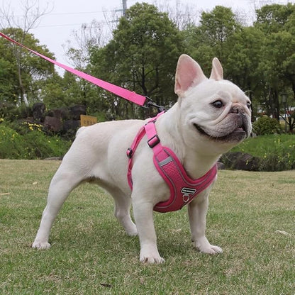 Dog Harness and Leash Set, Adjustable Triangle, Reflective Adjustable Puppy Vest, No Pull Soft Mesh Harness for Small, Medium Dogs, Cats (Fuchsia, XL)