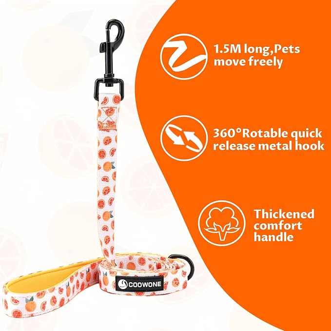 Dog Cat Harness and Leash Set, Puppia Soft Mesh Padded and Adjustable Puppy Vest Cute Dog Clothes Escape Proof Easy Walk Pet Accessories (Grapefruit, S (Neck 10.6"-13"; Chest 14"-19.6"))