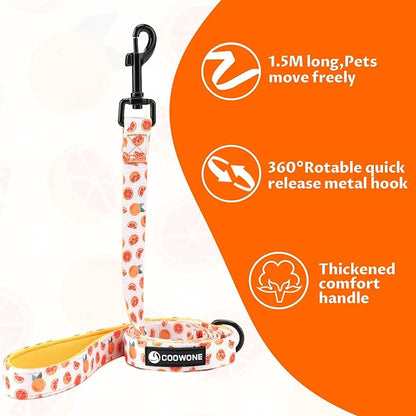 Dog Cat Harness and Leash Set, Puppia Soft Mesh Padded and Adjustable Puppy Vest Cute Dog Clothes Escape Proof Easy Walk Pet Accessories (Grapefruit, S (Neck 10.6"-13"; Chest 14"-19.6"))