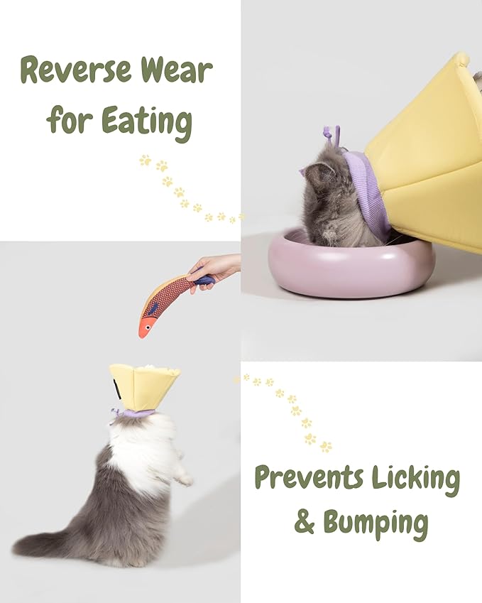 Lightweight Cat Cone Collar, Waterproof Soft Recovery E-Collar for Cats & Small Dogs, Adjustable Protective Elizabethan Collar to Prevent Licking & Biting, Easy-Clean Quick-Dry Design, Green XL Size