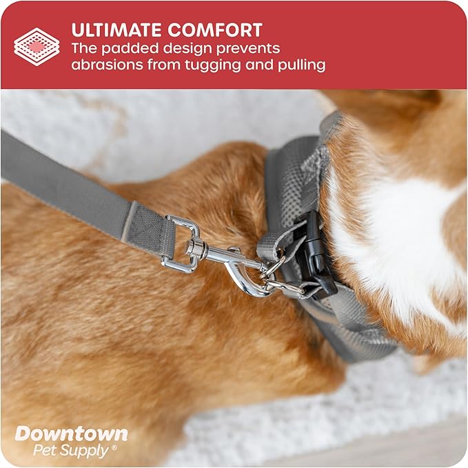 Downtown Pet Supply Step-in Dog Harness – No Pull, Adjustable Padded Mesh with Reflective Trim, Secure Buckle Strap – Comfortable & Breathable Small Dog Harness, Small, Light Gray