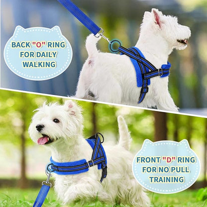 Lukovee No Pull Dog Harness and Leash Set, Soft Padded Small Dog Harness, Neck & Chest Adjustable Reflective Vest Puppy Harness with 4ft Lightweight Anti-Twist Dog Leash for Small Dogs (XS, Blue)