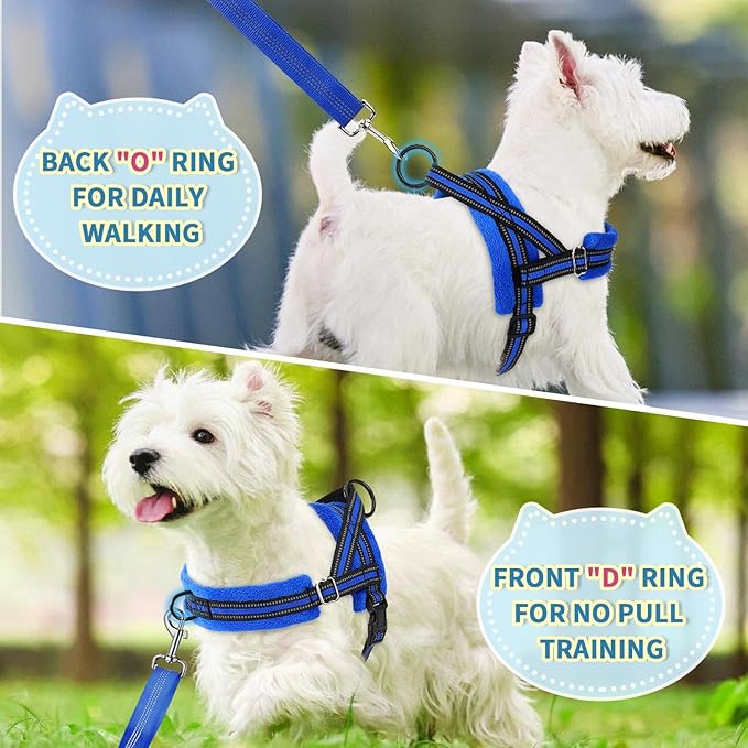 Lukovee No Pull Dog Harness and Leash Set, Soft Padded Small Dog Harness, Neck & Chest Adjustable Reflective Vest Puppy Harness with 4ft Lightweight Anti-Twist Dog Leash for Small Dogs (S, Blue)
