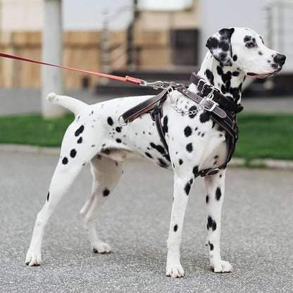 YUEPET 2 Pack 8.3 Inches Metal Dog Collar Safety Clips Heavy Duty Duble Ended Doggie Harness Collar Connector Stainless Steel Backup Clip for Dogs