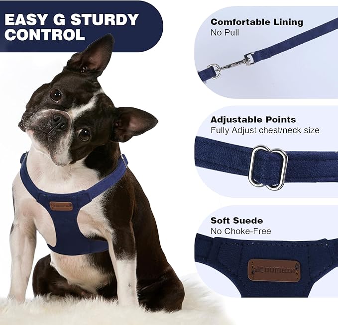 Dog Harness and Leash Set, S No Pull Adjustable Puppy Harness with Multifunction Denim Blue Dog Leash and Collar, Soft No Choke Escape Proof Pet Harness Vest for Small Dogs and Cats (Denim Blue, S)…