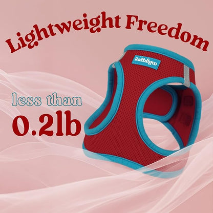 rabbitgoo Dog Harness Small Sized and Leash Set, Step-in Breathable Pet Harness, Soft Walking Reflective Puppy Vest for Small Dogs, Red & Teal, S