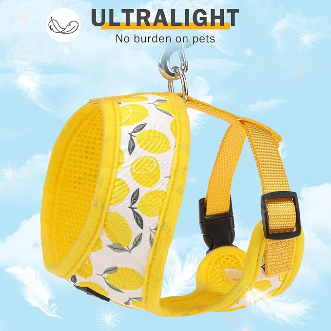 SCENEREAL Small Dog Harness and Leash Collar Set - No Pull Dog Harness for Small & Medium Sized Dogs - Soft Mesh Vest for Puppies, Chihuahua, Yorkie, Spring Summer Hiking Walking, Yellow Lemon XS