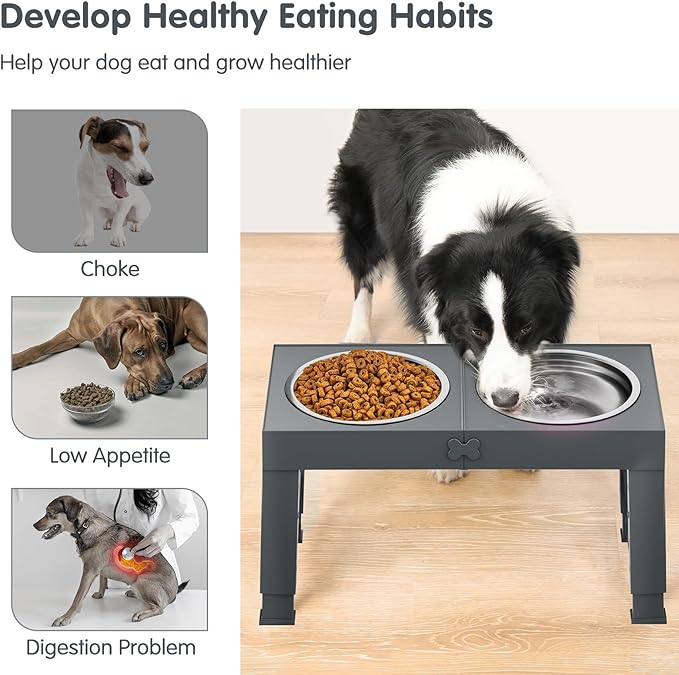XIAZ Elevated Dog Bowls Large Breed Raised Dogs Bowl Stand Large/Medium Sized Dog Stainless Steel Food Water Bowl Stands 5 Heights Adjustable 9/11/12/14in Pet Feeder Dish Station