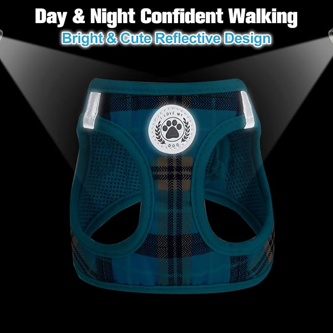 BEAUTYZOO Small Dog Harness and Leash Set,Step in No Choke No Pull Soft Mesh Dog Harnesses Reflective for Extra-Small/Small Medium Puppy Dogs and Cats, Plaid Dog Vest Harness for XS S Pets, Blue L