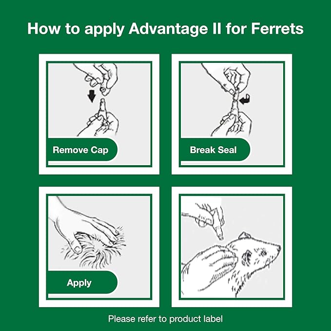 Advantage II Ferret Vet-Recommended Flea Treatment & Prevention | Ferret 1+ lbs. | 2-Month Supply