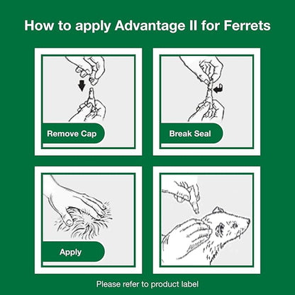 Advantage II Ferret Vet-Recommended Flea Treatment & Prevention | Ferret 1+ lbs. | 2-Month Supply