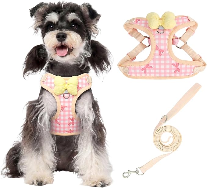 Coppthinktu Dog Harness for Small Sized Dogs, Puppy Cat Harness with Leash Set No Pull Dog Harness Adjustable Reflective Step-in Pet Vest Harnesses with Cute Bow Soft Padded Outdoor Walking
