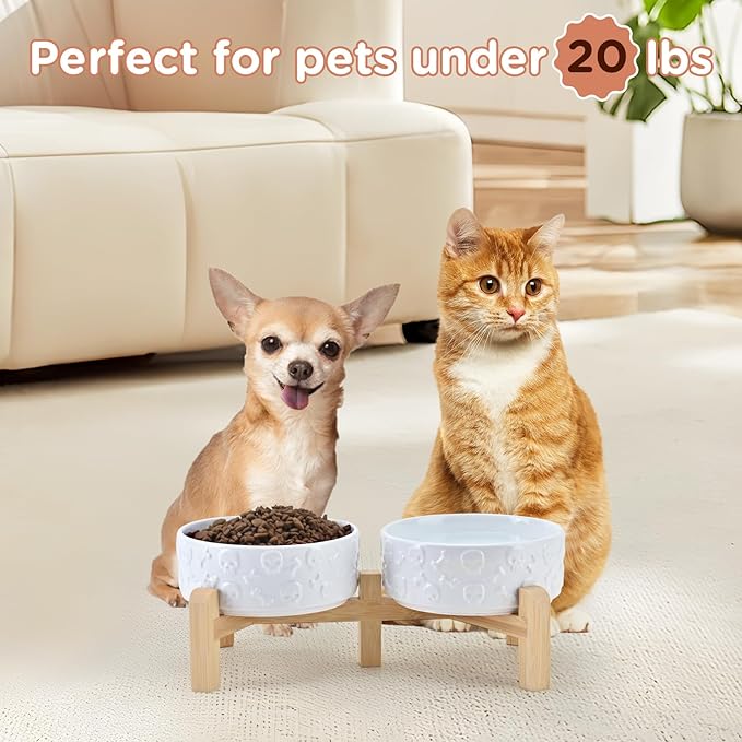 SPUNKYJUNKY Elevated Dog Bowls Ceramic, 5.1'' Dogs and Cat Food Water Bowls Raised with Non-Slip Bamboo Stand for Puppy Small Sized Breed Microwave Dishwasher Safe - 13.5 OZ,Skull White