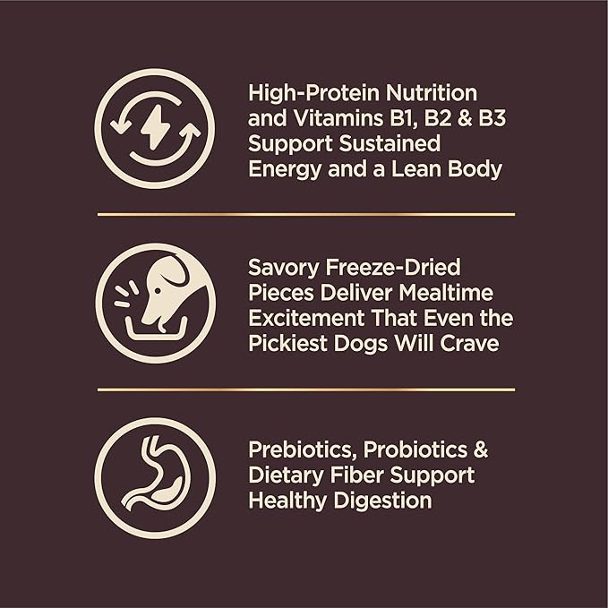 Wellness CORE+ Dry Dog Food with Wholesome Grains, Natural Ingredients, Made in USA with Real Freeze-Dried Meat (Adult, Turkey, 4 lbs) (Pack of 2)