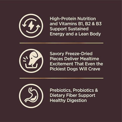 Wellness CORE+ Dry Dog Food with Wholesome Grains, Natural Ingredients, Made in USA with Real Freeze-Dried Meat (Adult, Turkey, 4 lbs) (Pack of 2)