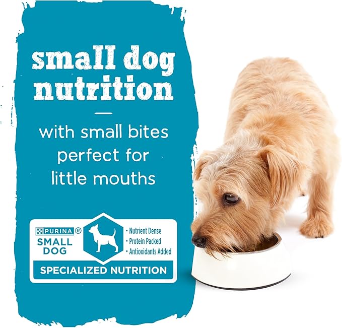Beneful Purina Small Breed Wet Dog Food with Gravy, IncrediBites with Real Beef - (16 Packs of 3) 3 oz. Cans