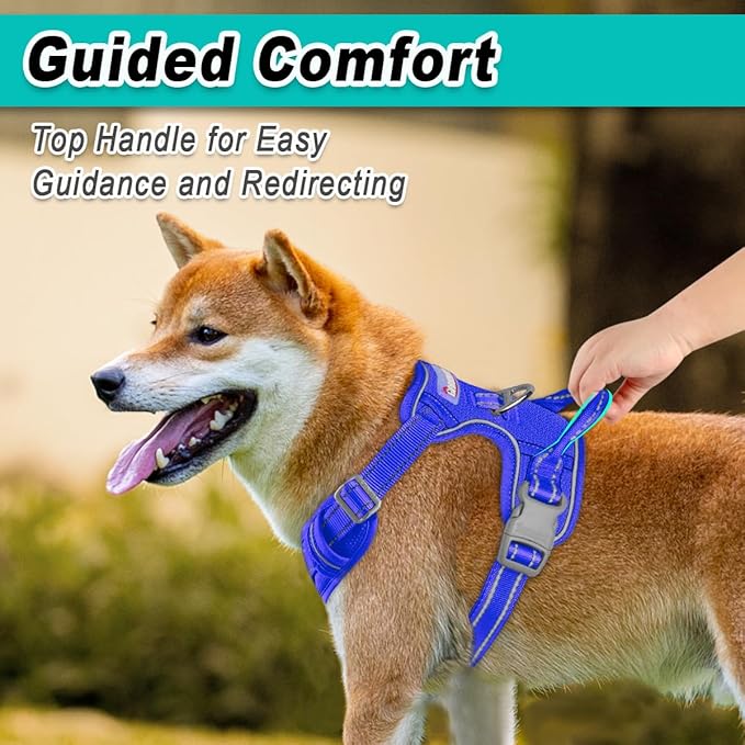 BARKBAY Dog Harness No Pull Mesh for Large Dogs - Adjustable, Reflective, Comfortable, No Choke, Heavy-Duty - Perfect for Outdoor Training, Walking, and Hiking-Strong&Durable- L & Sapphire Blue Mesh