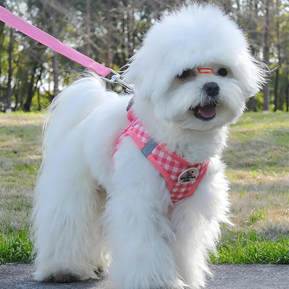Small Dog Harness and Leash Set, Step in No Pull Adjustable Reflective Pet Harness, Soft Mesh Plaid Vest Harnesses for Small Dogs & Cats Easy Walk Outdoor Hiking Running, Watermelon XS