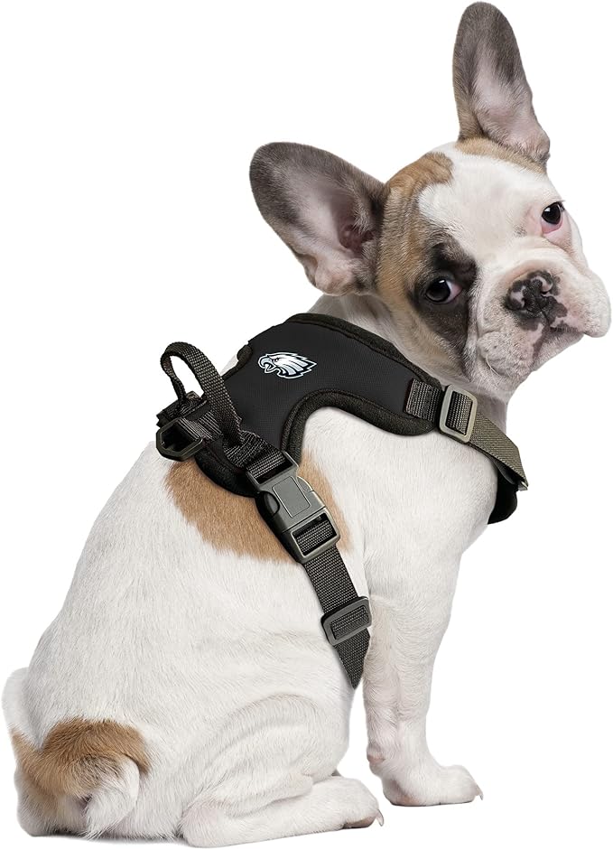 Littlearth NFL Unisex NFL Front Clip Pet Harness