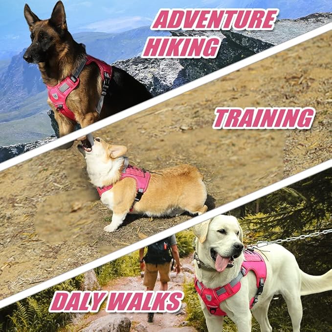 CBBPET Tactical Dog Harness for Small Medium Large Dogs No Pull Adjustable Harness Training Easy Control Pet Vest,Reflective Working Training (Rose Red M(Neck:17-26,Chest:24-36))