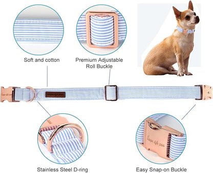 Unique Style Paws Blue Stripe Dog Collar Metal Buckle Gift Cute Collar for Small, Medium, Large Dogs