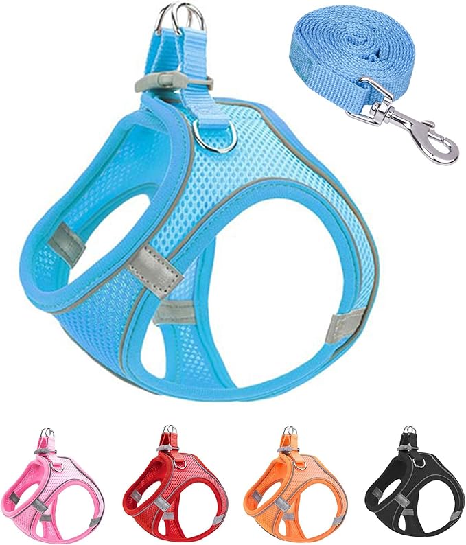 XXS Blue Soft Mesh Dog Harness and Leash Set,No Escape Puppy Harnesses for Training Walking， Reflective Adjustable Puppy Vest for Small Medium Dogs, Cats (Blue, XXS)